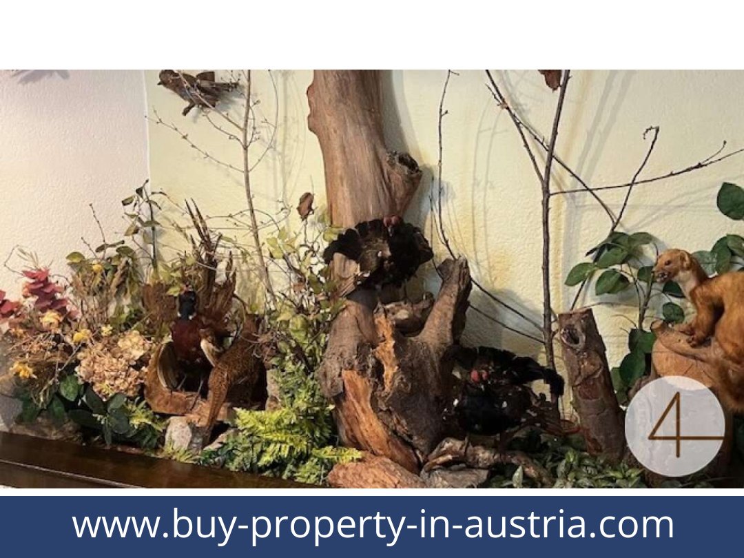 buy-property-in-austria-ybbsitz-3341-20250916101743-0021601022.jpg