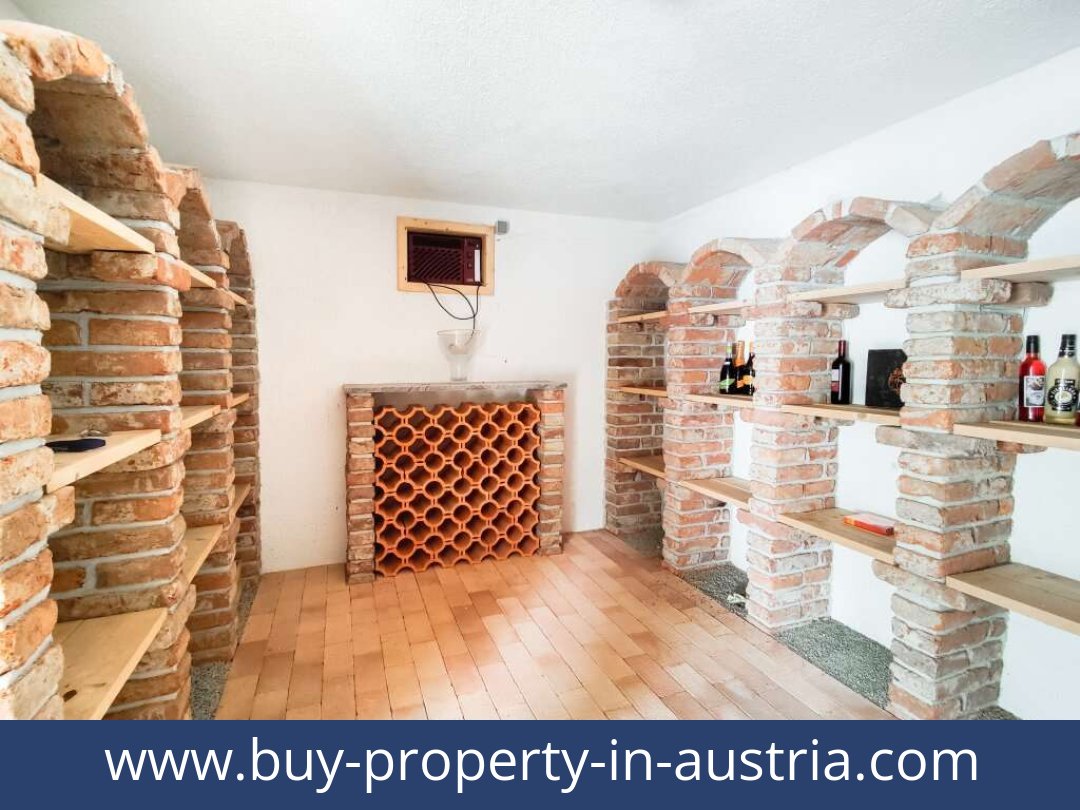 buy-property-in-austria-zeltweg-8740-20250913114732-0021401034.jpg